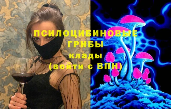 твердый Бородино